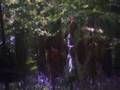 Monty Python The Tale of Sir Robin ( long version )