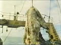 Zuiyo-maru Zuiyo-maru