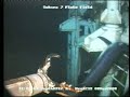 Marlin Trapped in Drilling Rig\ Marlin Trapped in Drilling Rig\