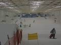 chippo one love snowboarding