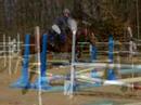 concours cheval