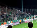 les verts