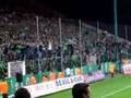 les verts