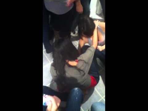cheerleader catfights