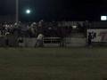 videos de Bull Riding Jose Glz Vs' Apache...