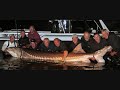 Top 20 Most Unbelievable Photos Part 1