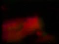 from the album 'rain, steam & speed' (shhhh! records 1999)

www.areligionofakind.co.uk