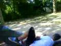 videos de hasenhecke