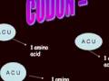 Production of Amino Acids