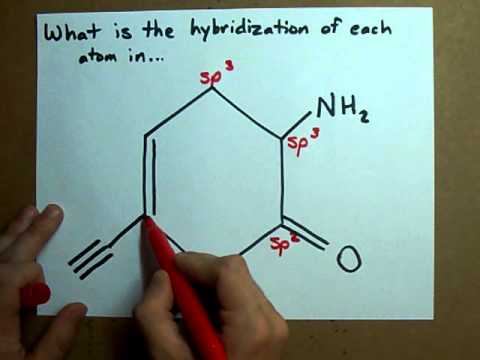 how to determine hybrid orbitals