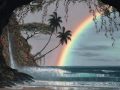 Anchoring Abundance ~ Step #3 Trust and Love ~ Human Harmonics