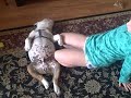 Sleepy Wallace 3 - Meditation