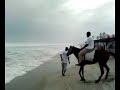 Wild Sea @ Labadi Beach Accra Ghana 12082007