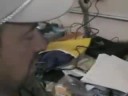 HMP-2008: Marcelo Vazquez (NSBRI, Space Radiation Liason)