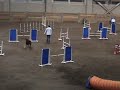 Agile Swissy