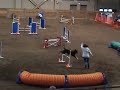 Agile Swissy