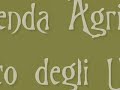 Canto del Gallo