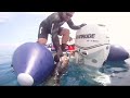 Click here to watch this video Zodiac Pro dive boats