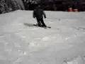 Downhill Harrachov
