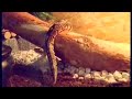 krajta Kl�ra