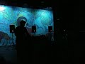 Animal Collective the Tivoli Brisbane 2009