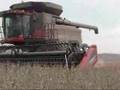 Harvest 2007 in Iowa!