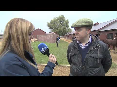 Inside Tattersalls