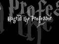 Hagrid the Professor