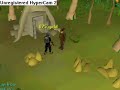 guilde to killin meatal drags guilde to killin meatal drags