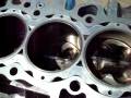 All Motor B16 Short Block