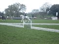 Louella Primitive Star - Badminton 2008 - Pt 1