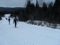 Foret Montmorency-Nov 23-2008.mpg
