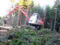 Neuson clearcutting