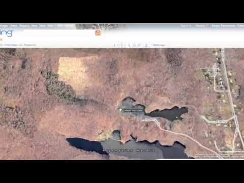 how to download bing bird eye view