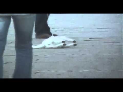 See video