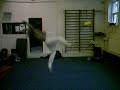 danish tricksters