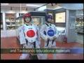 Kukkiwon: Home of Taekwondo in Korea