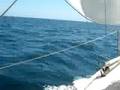 San Pedro Channel Dolphins