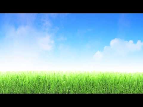 Inspirational - Team Building - Work Related uplifting