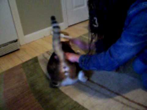 Tina spanking my pussy...more to come