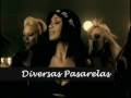 certamen miss gay 08