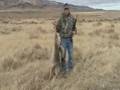 Predator Hunts