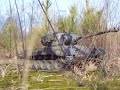Pershing in forest Pershing in forest