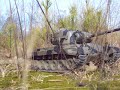 Pershing in forest