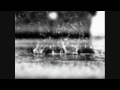 clip video Arno Les yeux de ma m�re