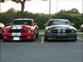 Dope-Debonaire(mustang`s)
