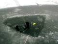 videos de ijsduik 7 jan 2009 deel 2