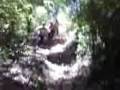 o/ metodo natural
