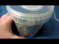 Click here to watch this video Updates on some of the Ts...