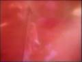 cruyff in the bedroom --apple sauce